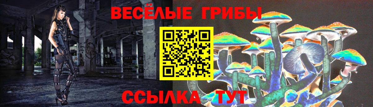 Галлюциногенные грибы мицелий  Галлюциногенные грибы Psilocybine cubensis  Глазов  Вход с VPN 